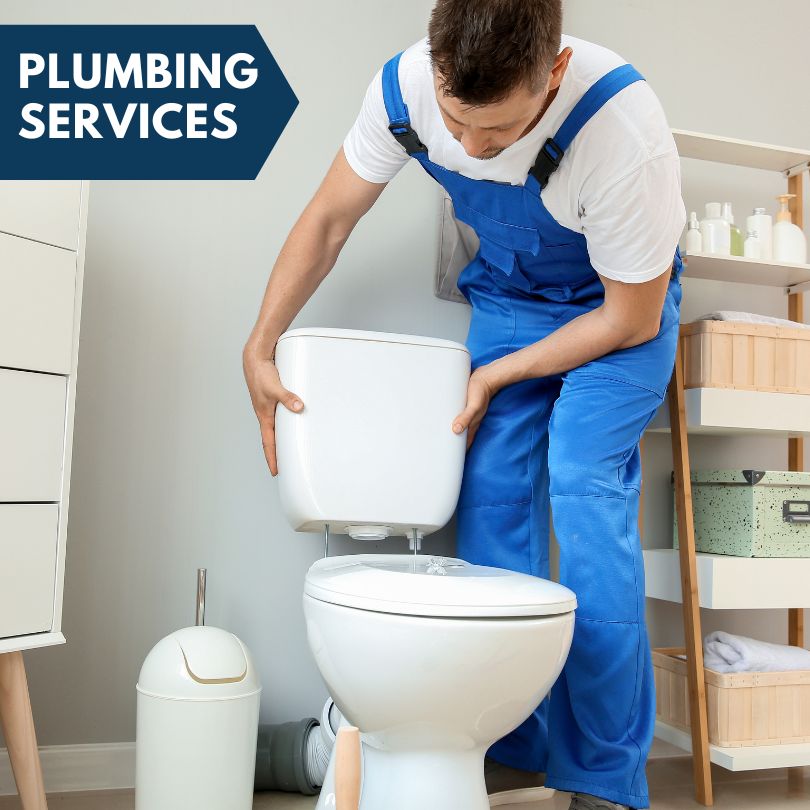 Plumbing Company in Prairie City, IL